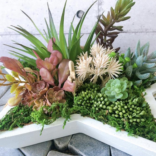 Creema限定【光触媒加工】星型⭐︎流木付き多肉植物インテリア/1