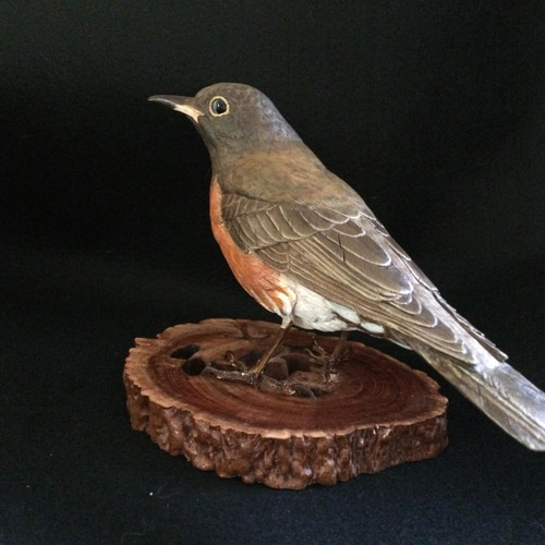 野鳥シロハラ　野鳥彫刻　リアルバードカービング　木彫り　一点物　　 ハンドメイド アカハラ・バードカービング 彫刻 ありむら工房 通販 13414101｜Creema