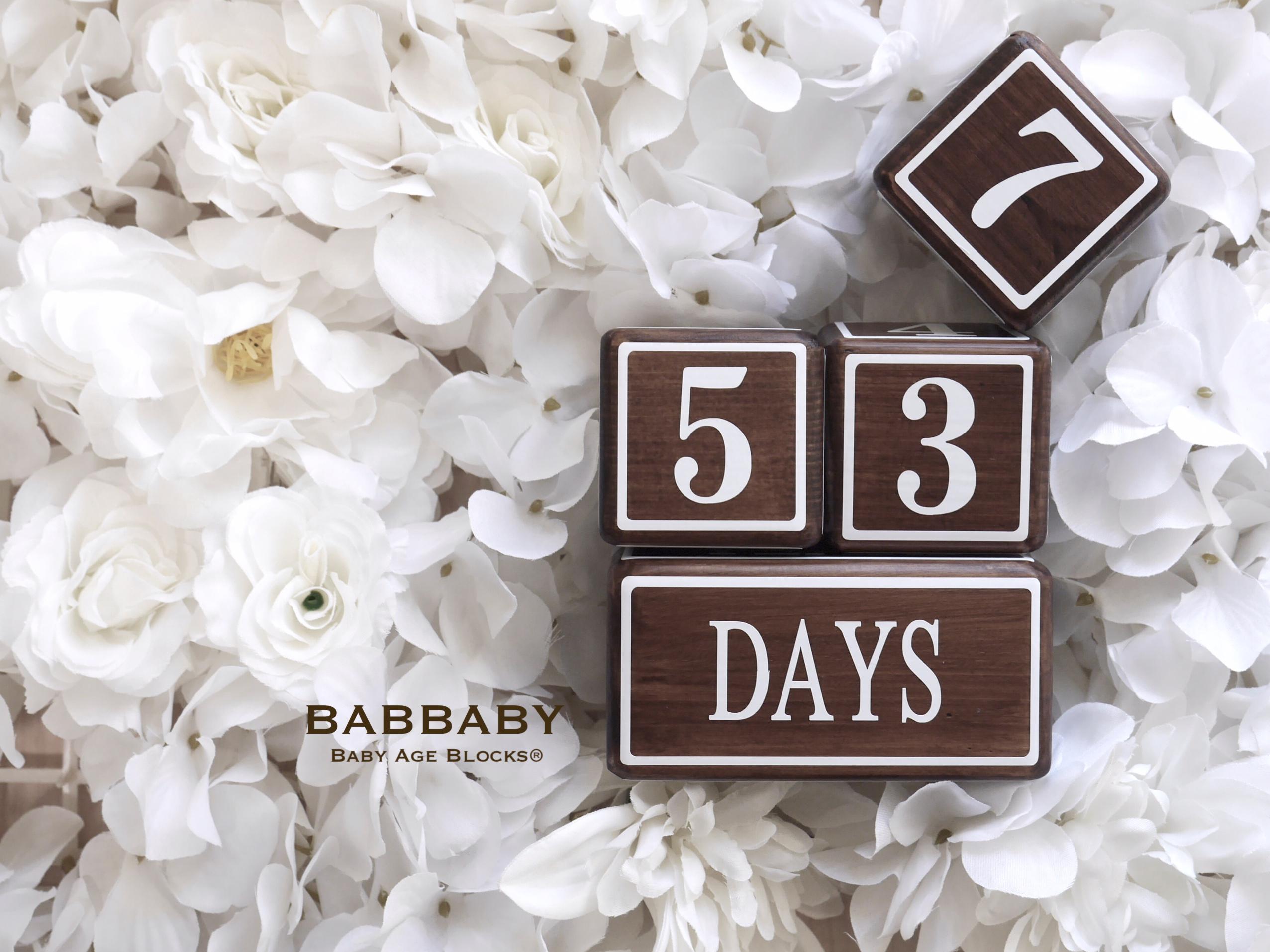 Paint【エボニー】ベイビーエイジブロック　マタニティーからの成長記録