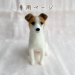 七夕 織姫と彦星 トイプードル マルチーズ ☆ 犬 羊毛フェルト ミニチュア ♡ 七夕 羊毛フェルト トイプードル ♡ - メルカリ