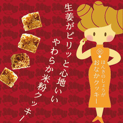 ほんきのしょうが おなかクッキー（2本組） 4枚目の画像