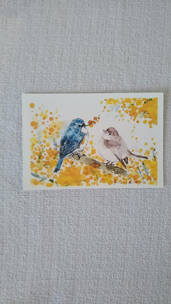 ✣ 青い鳥+ミモザ　春色✣　各一枚　ポストカード4枚セット 4枚目の画像