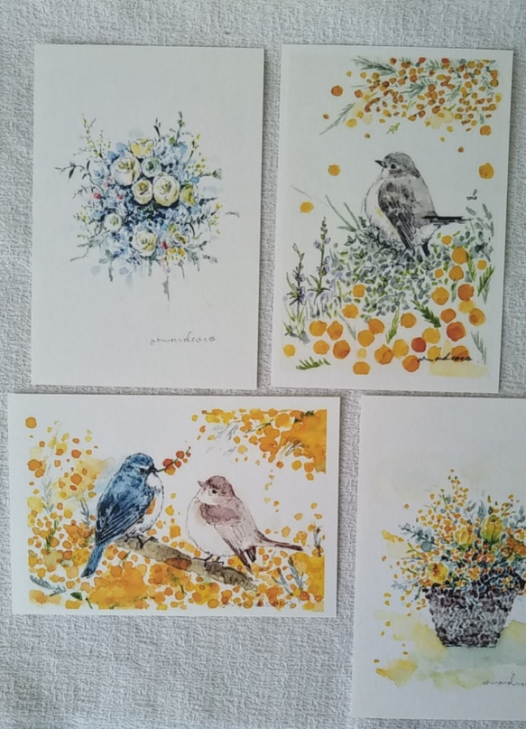 ✣ 青い鳥+ミモザ　春色✣　各一枚　ポストカード4枚セット 6枚目の画像