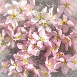 桜の箸置きペアセット　＊お祝い ＊ギフト ＊誕生日 ＊結婚式 4枚目の画像