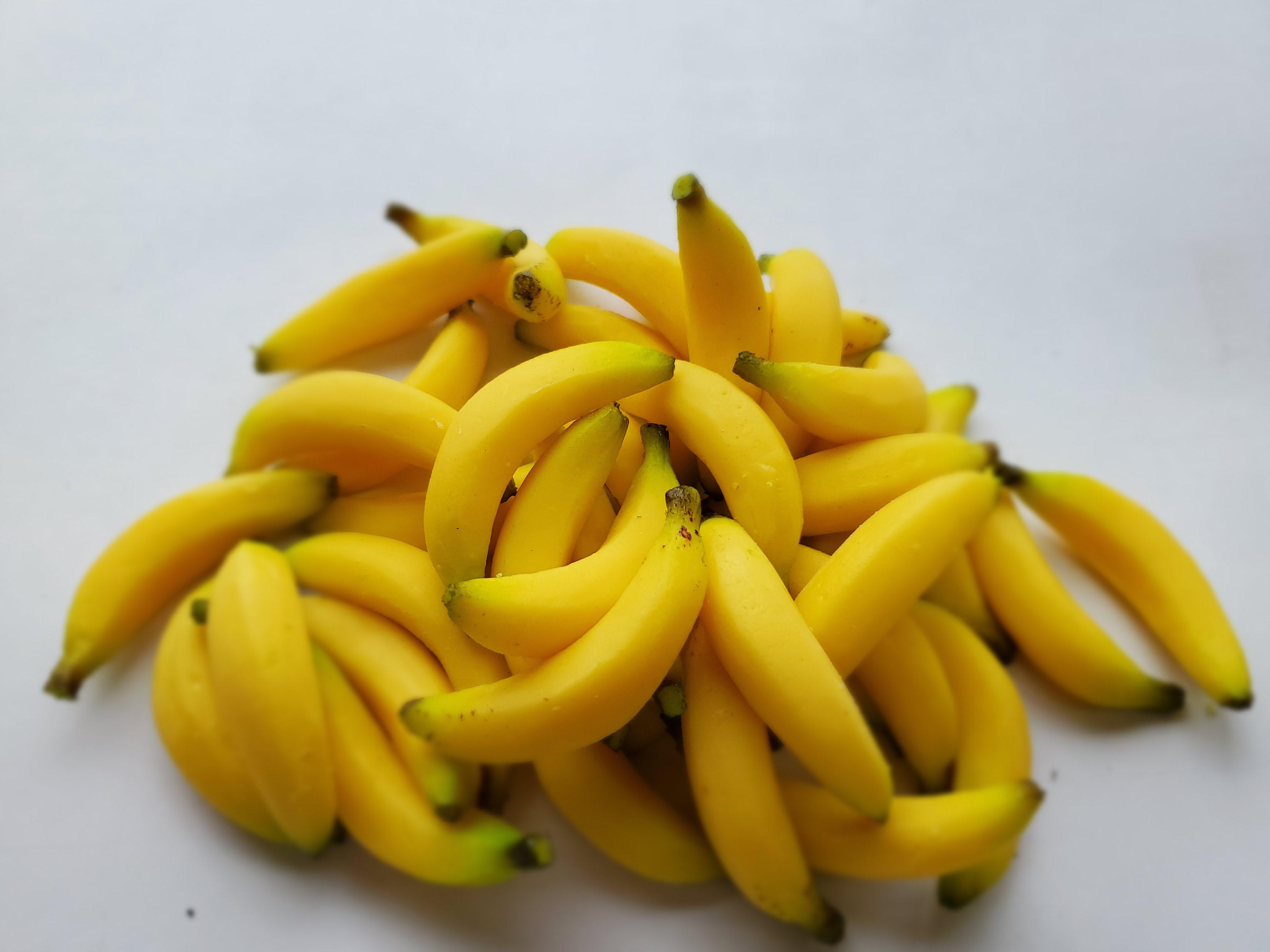 バナナ ナビ サンプル