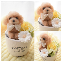 羊毛フェルトのペットフラワー 全犬種（ドール1個 花1輪） 羊毛