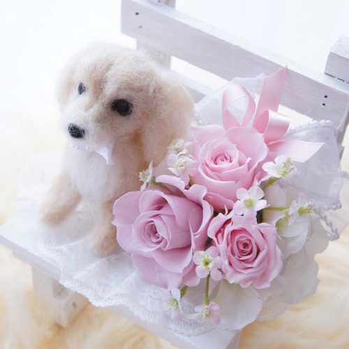 わんプチセット プリザーブドフラワー ぬいぐるみ 犬 プリザ 花