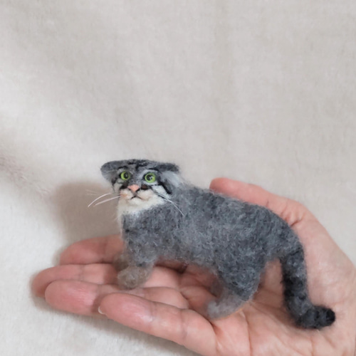 羊毛フェルト】ミニミニ·マヌルネコ 羊毛フェルト パステルミケ 通販