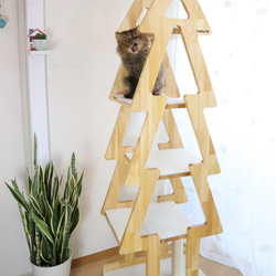 おしゃれ かわいい 木製キャットタワー pmg4N ハウス・小屋 PMG