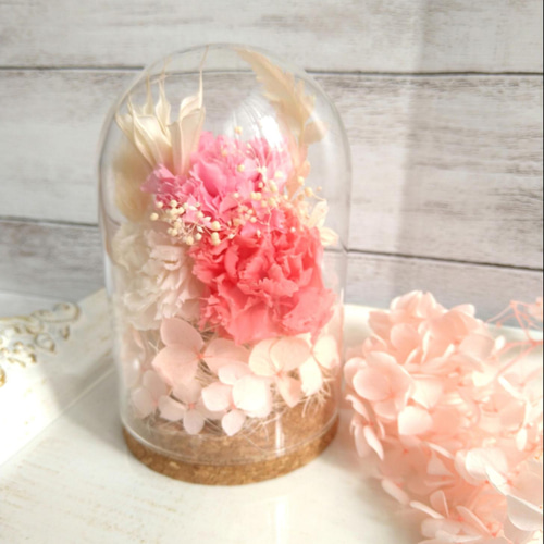 プリザーブドフラワー カーネーション ガラスドームアレンジ❁フラワー