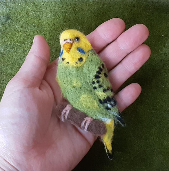 ♥️羊毛フェルト　インコさんブローチ♥️ 2枚目の画像