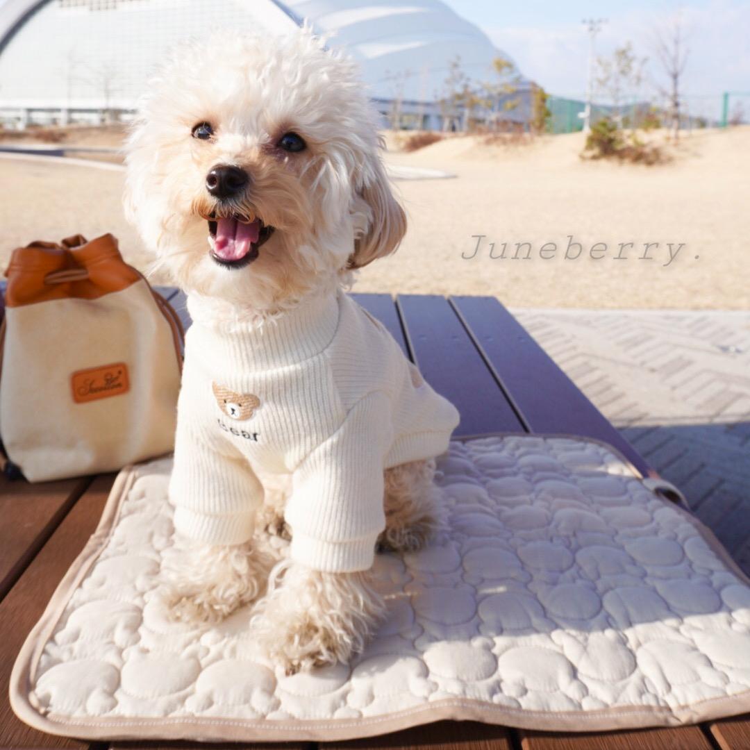 送料無料 通販 ファッション くまさんカフェマットリバーシブル クッション・ベッド JELLY 犬服・アクセサリー