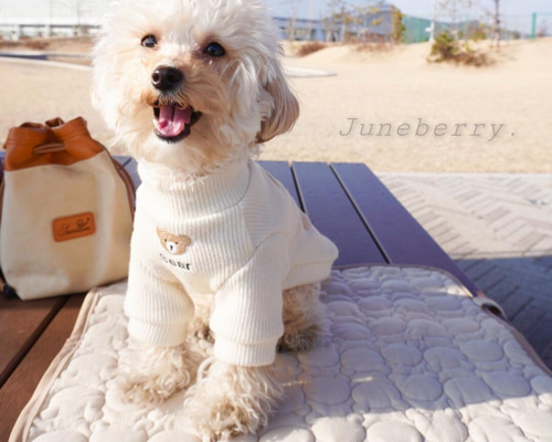 クークチュールで発売しているマット全商品です。 クークチュール