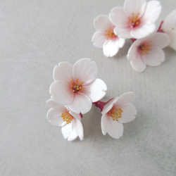 【特集掲載】桜のピアス・イヤリング【アレルギー対応】 7枚目の画像