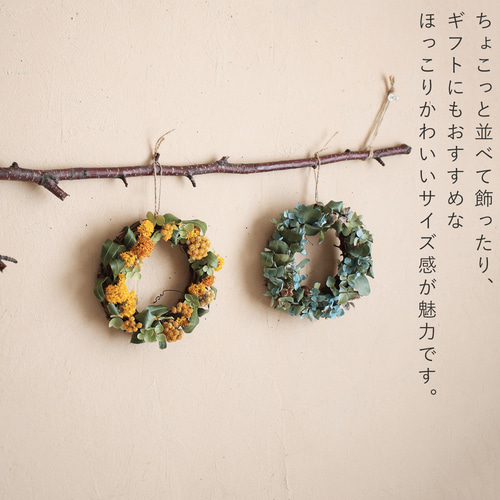 花七曜のセミオーダードライフラワーリース◇選べる色ピンク・イエロー  