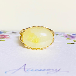 SV925 富の象徴・・スパイニーオイスターシェルring（9～23号