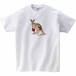 [キッズTシャツ] Fighting kangaroo 1枚目の画像