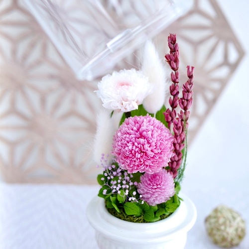 メ*ア様 プリザーブドフラワー ＊ ガラスドーム 対 輪菊 蓮入 ＊ 仏花 お供 仏花」ポンポン菊のプリザーブドフラワーのガラスドーム＜受注