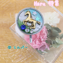 Haru 特集　お馬さんと桜　藍色スワロフスキーのポニーフック 4枚目の画像