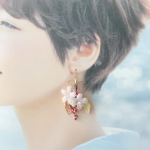 桜とかすみ草のリボンブーケピアス/イヤリング(樹脂、チタン