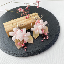 桜とかすみ草のリボンブーケピアス/イヤリング(樹脂、チタン、ノンホールピアス) 布花 サクラ さくら 花 1枚目の画像
