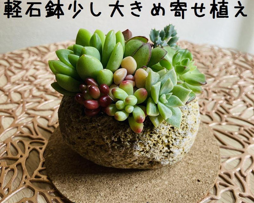 送料無料！No.59☆軽石鉢少し大きめ多肉寄せ植え☆3月13日までの