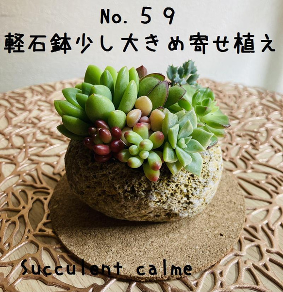 送料無料！No.59☆軽石鉢少し大きめ多肉寄せ植え☆3月13日までの