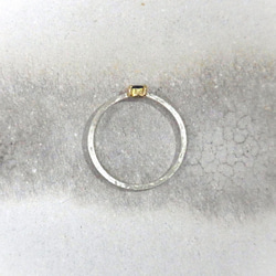 訳あり特価　Silver Gold Combination Ring / SV925,K18YG,Sapphire 2枚目の画像