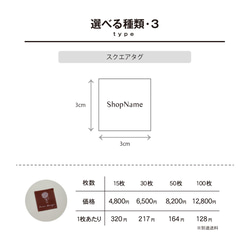  第4張的照片