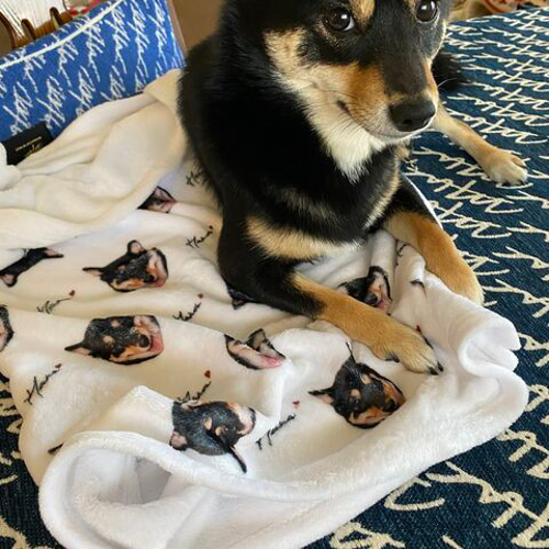 うちの子 柄 ブランケット 全身 (犬 猫 ペットグッズ) 名前入れ 名入れ