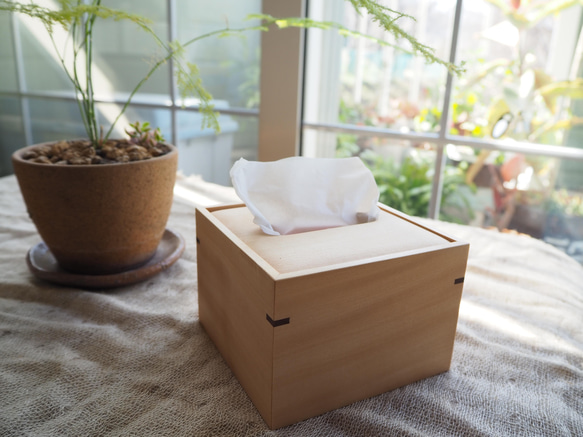 Sarasa（サラサ）ハーフサイズティッシュ専用】欲しかった木の