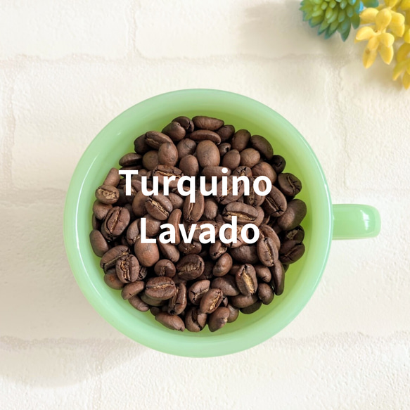 キューバ  トルキーノ ラバード　コーヒー豆  200g 1枚目の画像