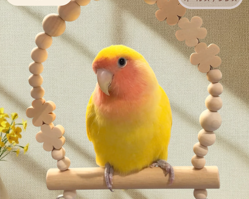 安全で安心《うちのこブランコ》Mサイズ(コザクラさん)✩.*˚鳥ブランコ
