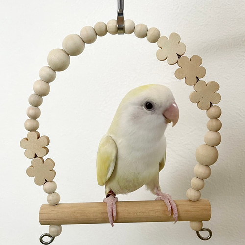 安全で安心《うちのこブランコ》Mサイズ(コザクラさん)✩.*˚鳥ブランコ