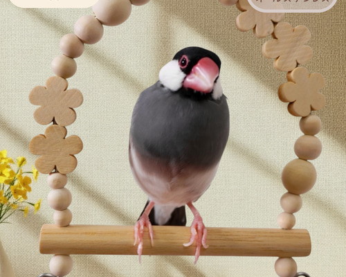 安全で安心《うちのこブランコ》SSサイズ(文鳥さん)✩.*˚文鳥ブランコ