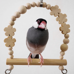 安全で安心《お花のツンツンかみかみ》✩.*˚鳥 インコ おもちゃ