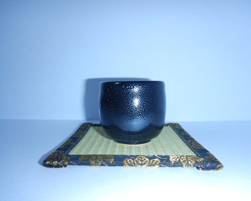 d9a7a0277878d8fc937982544144b6