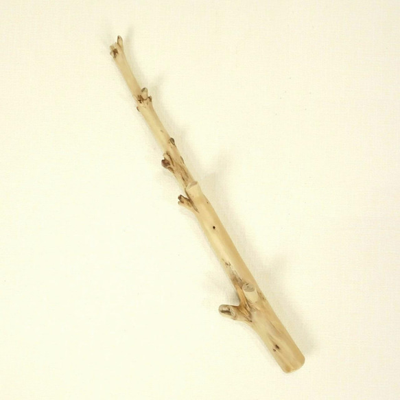 【温泉流木】たくさんの枝分かれ後ストレートに伸びる枝流木 流木素材 インテリア素材 木材 1枚目の画像
