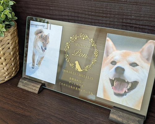 bcae5b96d0ac3860e88479c024d0c2