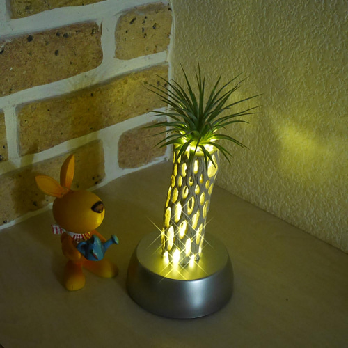 天然木ライトNo1 サボテンの骨(漂白済み)&照明器具 カクタススケルトン