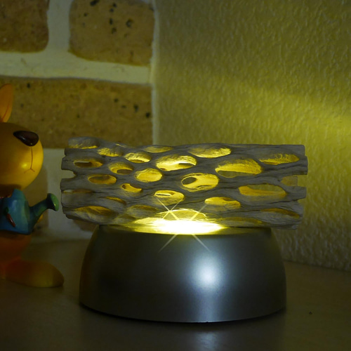 天然木ライトNo1 サボテンの骨(漂白済み)&照明器具 カクタススケルトン