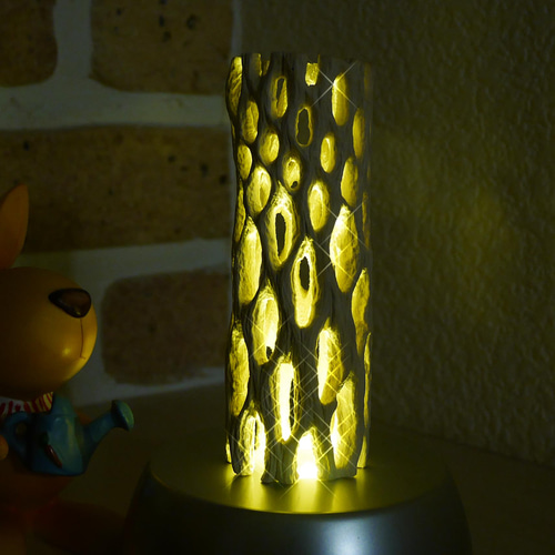 天然木ライトNo1 サボテンの骨(漂白済み)&照明器具 カクタススケルトン