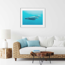 ターコイズブルーの海を泳ぐザトウクジラの親子 3枚目の画像