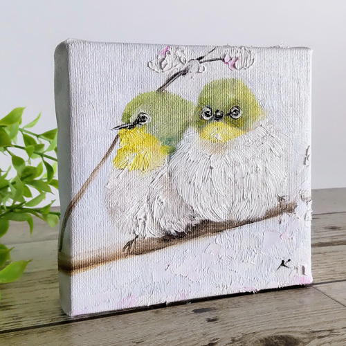 油彩画 メジロ　約20cm x 20cm 油彩画 メジロ 約20cm x 20cm