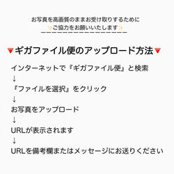 最短翌日発送✨ウェルカムボード 無料データ & 高画質化 ウェルカムスペース 前撮り 11枚目の画像