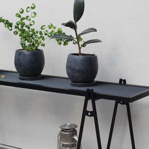 アイアンシェルフ（L）アイアンラック アイアン家具 塊根植物 植物棚