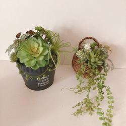 エアブランツとセダムのアレンジポット(フェイクグリーン)ボタニカル　植物　インテリア　プレゼント　観葉植物　多肉植物　 9枚目の画像