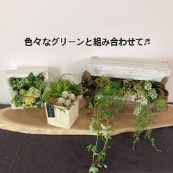 エアブランツとセダムのアレンジポット(フェイクグリーン)ボタニカル　植物　インテリア　プレゼント　観葉植物　多肉植物　 8枚目の画像