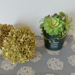 エアブランツとセダムのアレンジポット(フェイクグリーン)ボタニカル　植物　インテリア　プレゼント　観葉植物　多肉植物　 3枚目の画像