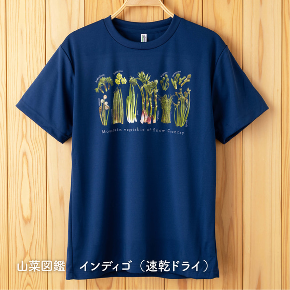 ［着る山菜］山菜図鑑Tシャツ（インディゴ） 10枚目の画像